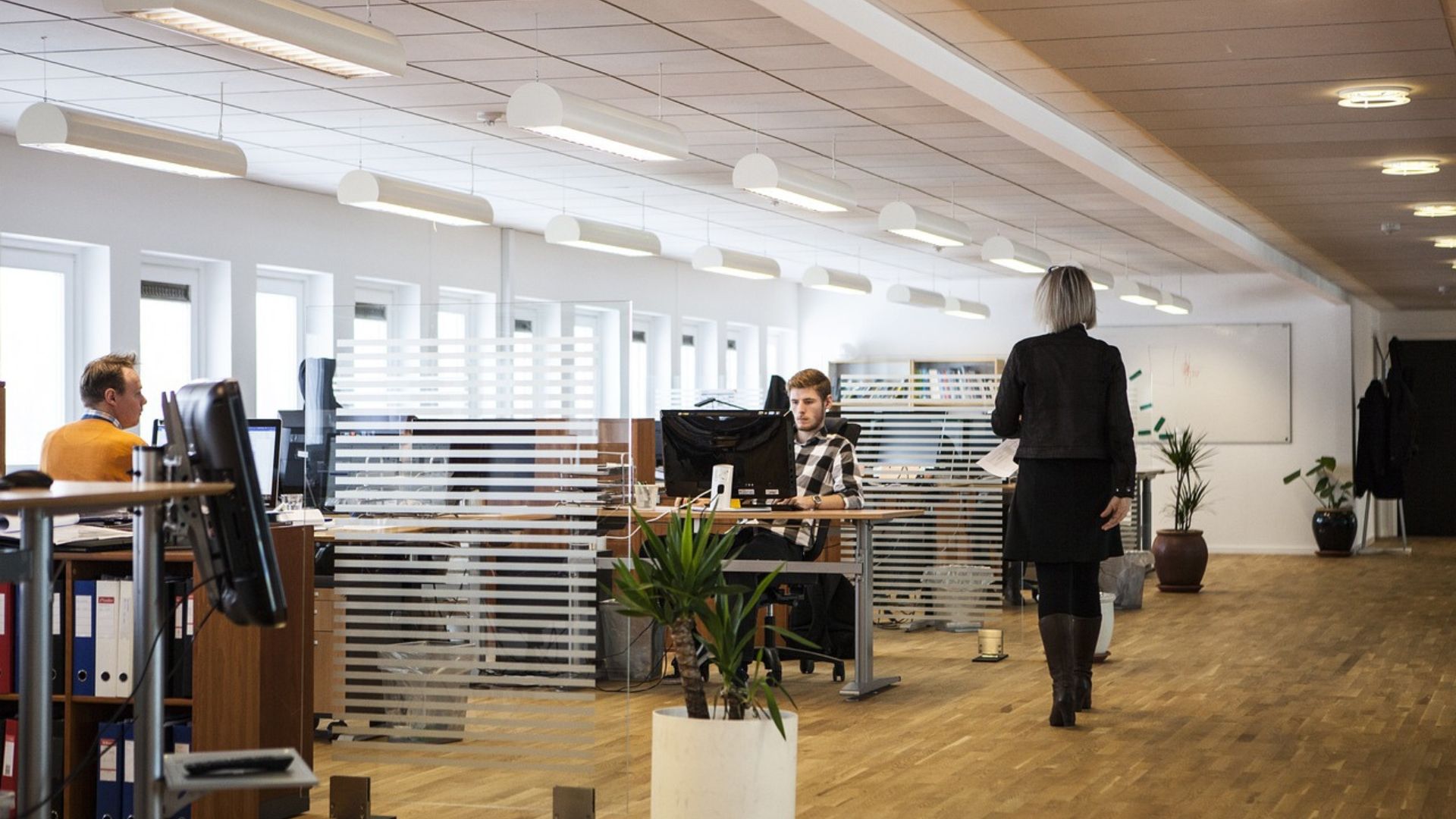 corporate office in new york